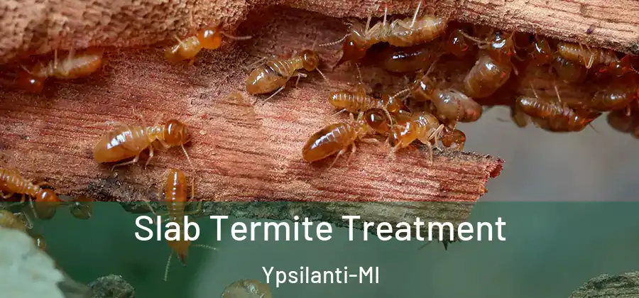 Slab Termite Treatment Ypsilanti-MI