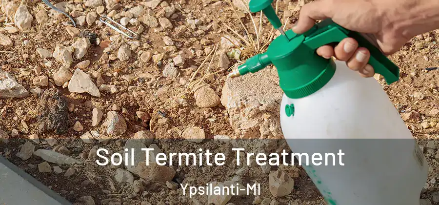 Soil Termite Treatment Ypsilanti-MI