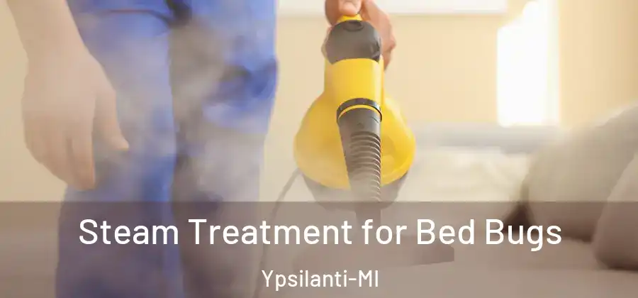 Steam Treatment for Bed Bugs Ypsilanti-MI