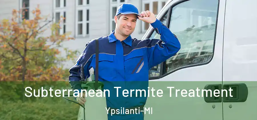 Subterranean Termite Treatment Ypsilanti-MI