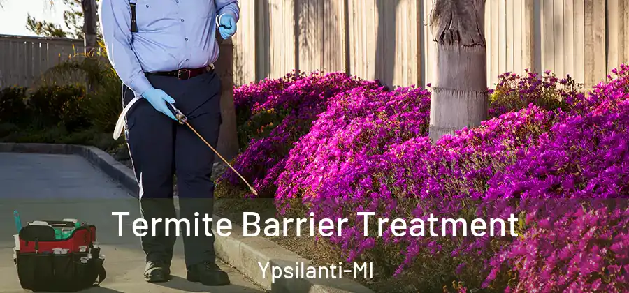 Termite Barrier Treatment Ypsilanti-MI