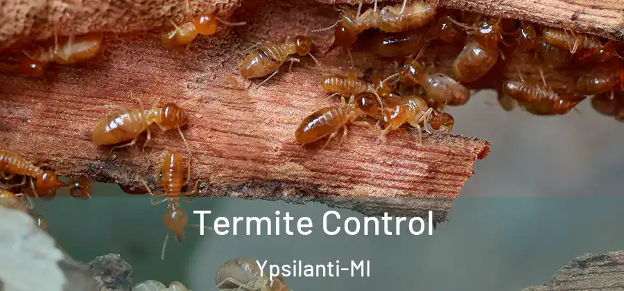 Termite Control Ypsilanti-MI