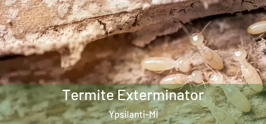 Termite Exterminator Ypsilanti-MI