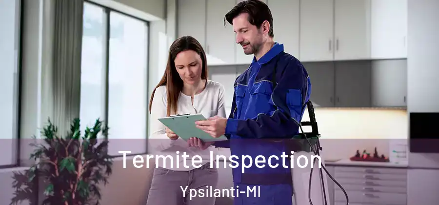 Termite Inspection Ypsilanti-MI
