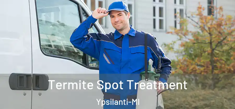 Termite Spot Treatment Ypsilanti-MI