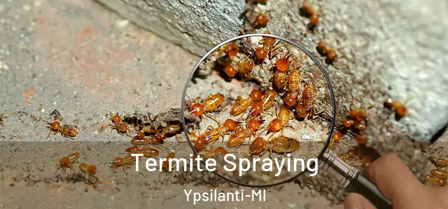  Termite Spraying Ypsilanti-MI