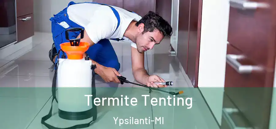 Termite Tenting Ypsilanti-MI