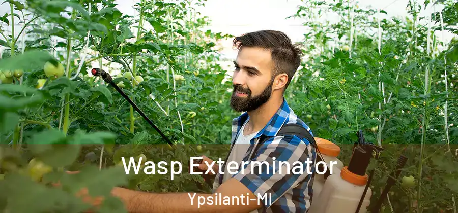 Wasp Exterminator Ypsilanti-MI