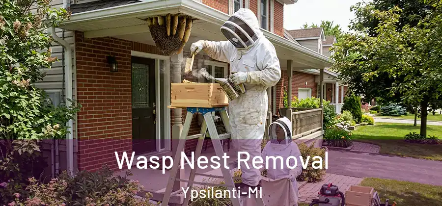 Wasp Nest Removal Ypsilanti-MI