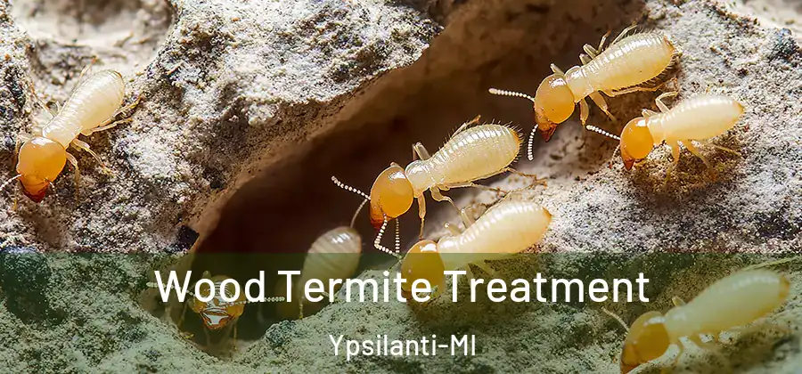  Wood Termite Treatment Ypsilanti-MI