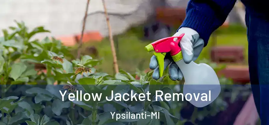 Yellow Jacket Removal Ypsilanti-MI